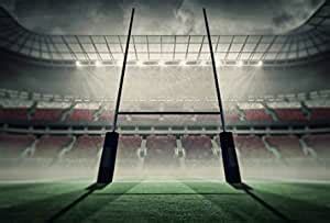 New Arrivals Scenolia Rugby Stade Decorative Wallpaper Poster 3 x 2.70 m XXL HD Quality